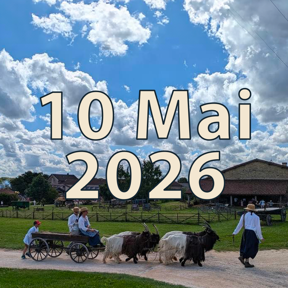 10 Mai 2026