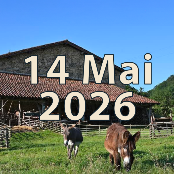14 Mai 2026 (Ascension)