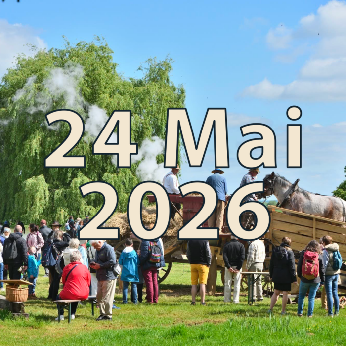 24 Mai 2026